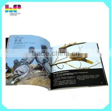 Hot Sales Recycled Softcover Paper Book Printing photo-4