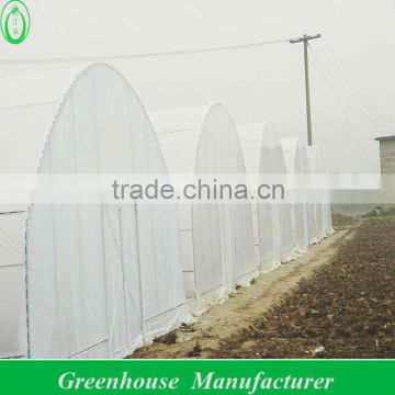 economical plastic tunnel greenhouse