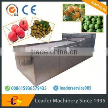 Leader automatic orange peeling machine with website:leaderservice005