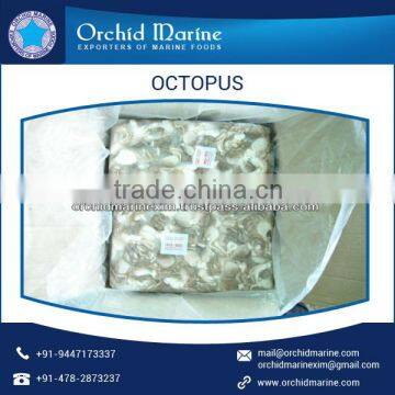 Frozen Baby Octopus (Octopus Ocellated) for Sale photo-4