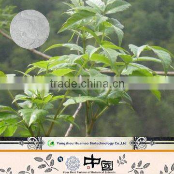 Produce pure natural white 98% dihydromyricetin cany tea extract powder