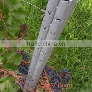 Hot sales grape trellis post