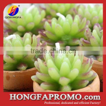 Wholesale Funny Paraffin Wax Cactus Candle