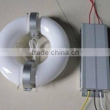 100w lvd induction bulbs