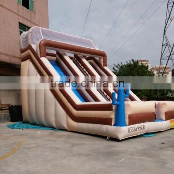 Amusement giant inflatable slide for sale