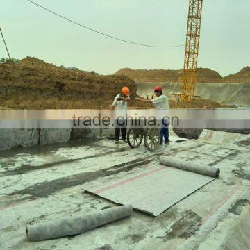 Factory: PP/PE Waterproof Fabric, Polythene and Polypropylene Polymer Compound Waterproof Membrane photo-5