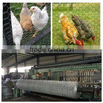 galvanized chicken wire mesh cage