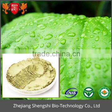 Pure natural herbal plant extract lotus leaf extract with best price