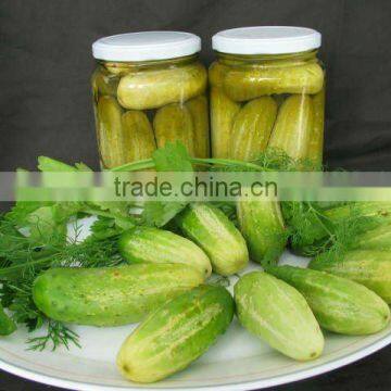 canned baby cucumber 3 - 6 cm in glass jar