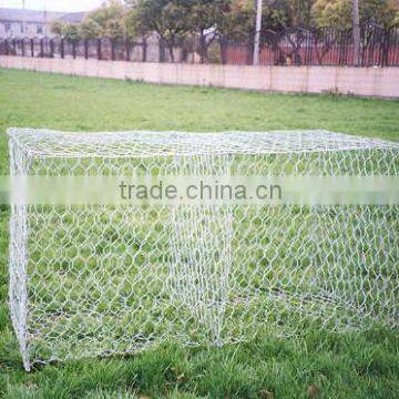 Bird Cage Mesh /Galvanized Hexagonal Wire Netting