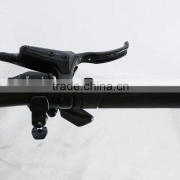 26inch 250w 36v Bafang Motor Electric Bike Lithium Battery With EN15194 Approval photo-5