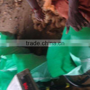 Natural Cocount From India photo-4