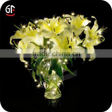 Hot Festival Products Latest Types Flashing Light Dew Drop Christmas Light photo-6