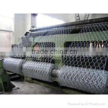 Electro galvanized hexagonal wire mesh