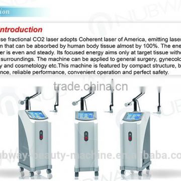 Vertical Professional Vaginal Tightening Fractional CO2 Vaginal Breast Lifting Up Rejuvenation Laser Beauty Equipment Acne Scar Removal