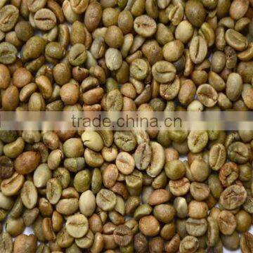 Vietnam Robusta Coffee Bean S13/S16/S18 faq/Cleaned/Wet Polished( emma@hanfimex.com)