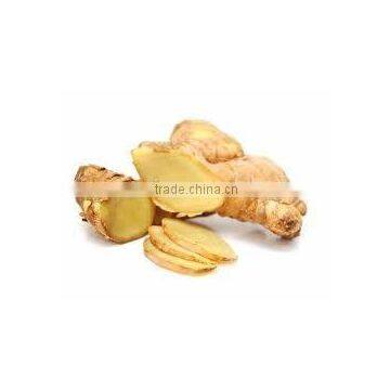 Fresh Ginger best price and high quality from Vietnam