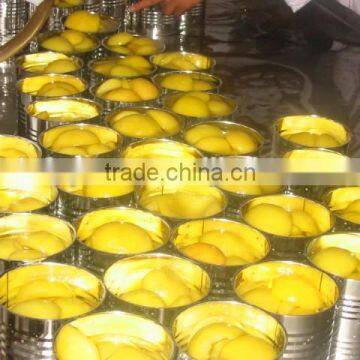 Good Quality Lowest Price Canned Yellow Peach Export photo-4