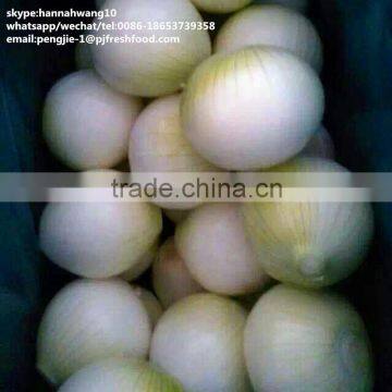 2016 New Crop Fresh Peeled Onion
