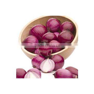 Onion Importers in Quatar/onion Importers in Malaysia/fresh Onion photo-5