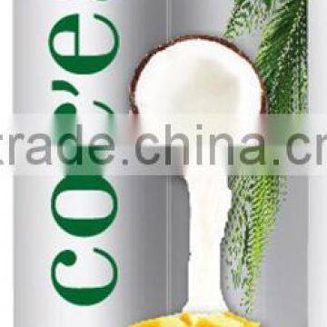Young Coconut Milk Whit Mango photo-2