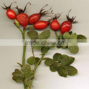 2016 China Origin Dried Rose Hip (whole Fruits,shell, Fine Tea Cut) photo-6