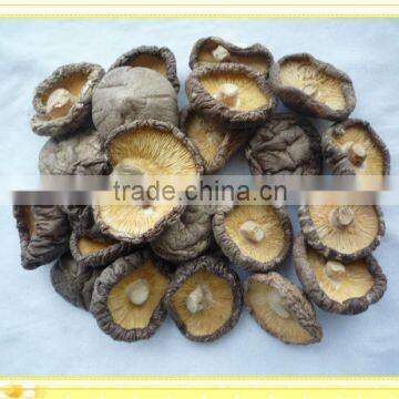 Dried whole Shiitake mushroom reliable price