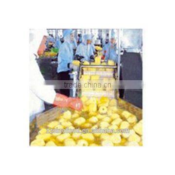 HALAL Food Canned Pineapple Slice in Heavy Syrup