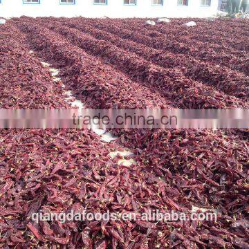 PAPRIKA CHILE