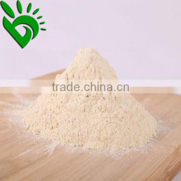 Dried onion powder