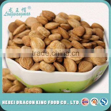 Apricot Seeds