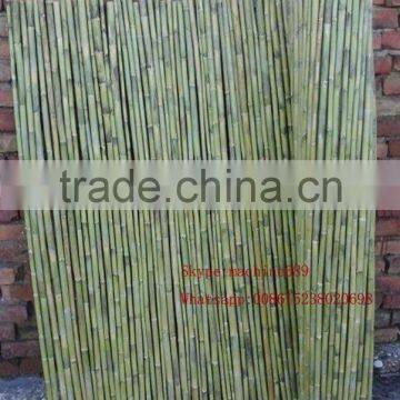 Newest Automatic Straw/reed Knitting Machine/reed Fence Knitting Machine With Cutting Knife photo-5