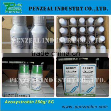 Azoxystrobin 20%,50% WDG, 250g/l SC, 95% TC, agrochemical fungicide 131860-33-8