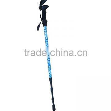 Alpenstocks walking stick