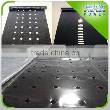 Biodegradable Agricultural Plastic Mulch Film photo-5