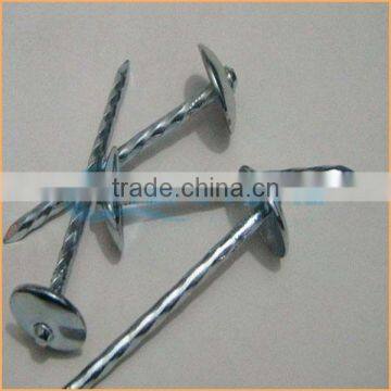Top Quality Umbrella Roofing Nail for Construction Trusted Chuanghe Suppliers From Com photo-4