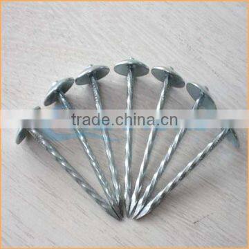 Top Quality Color Zinc Coated Wired Coil Roofing Nail Trusted Chuanghe Suppliers From Com photo-2