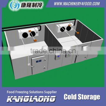 Good Quality New Technology Walk In Freezer For Sale