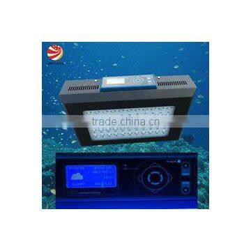 55x3w 120w led aquarium light for marine &coral reef