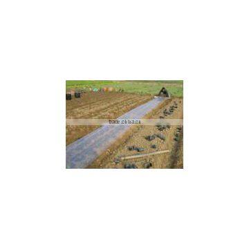 Clear Agriculture Mulch Films photo-2