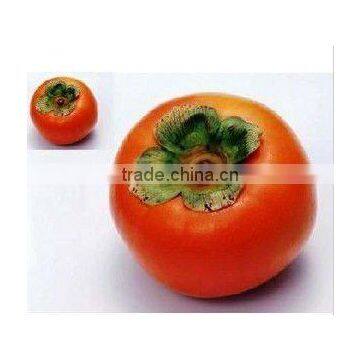 Decorative red persimmon