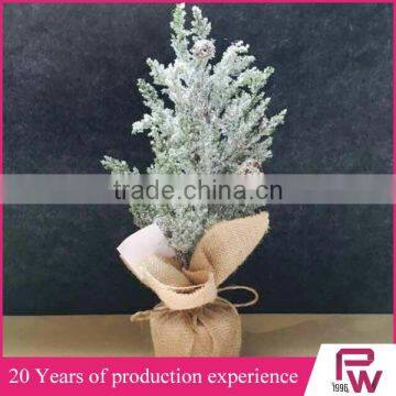 Factory High Quality Wholesale Small Decorative Pine Trees From China Supplier photo-3