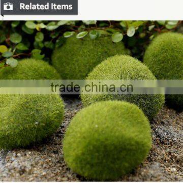 Gardening Christmas Gift for Wall Rock Decoration Moss Stone photo-4