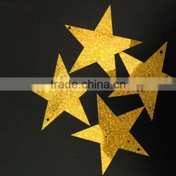 New design PET shape of star loose sequins for decoration