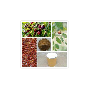 Ziziphi Seed Extract plant extract factory