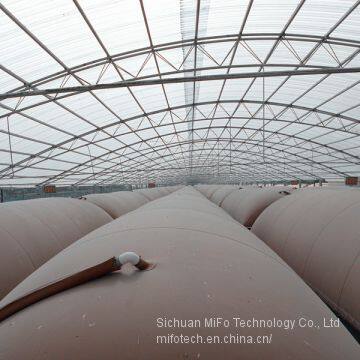 SGS approved biogas balloon for anaerobic digester