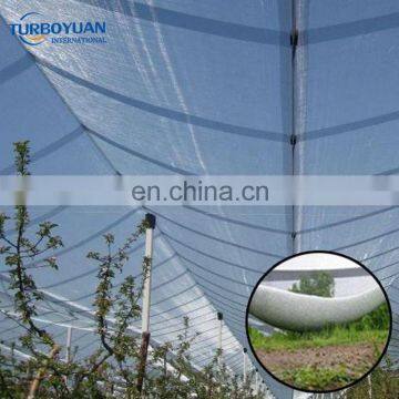 fruit tree nets for apple tree / agriculture anti hail net / plastic netting for flowers