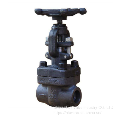 ANSI Class 150-1500 Z61H/ Z61Y/ Z61W Butt-welded Gate Valve