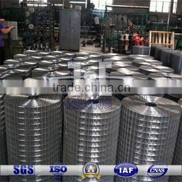 Hot-dipped Galvanized Welded Wire Mesh/Fence Mesh