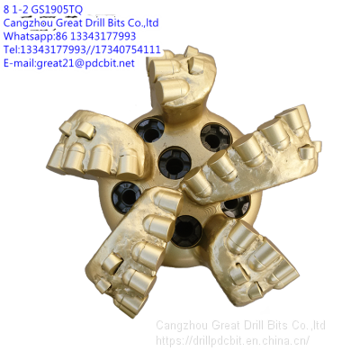 Steel body PDC Bit---8 1-2 GS1905TQ